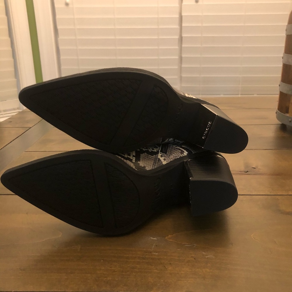 Circus by Sam Elderman Snakeskin Boots - Picture 7 of 10